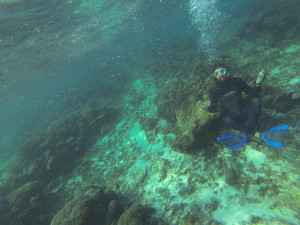 underwater buddha